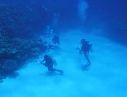Mysterious underwater world