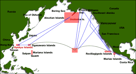 Whale migration map